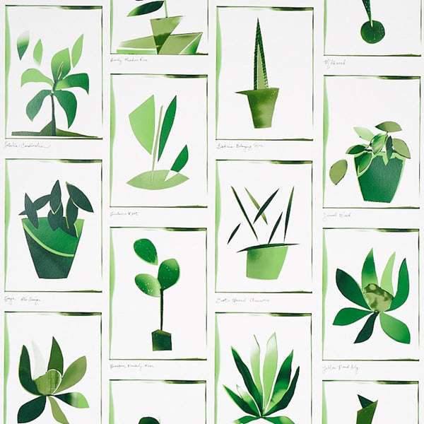 Botanicals, Greenhouse Wallcoverings | Schumacher