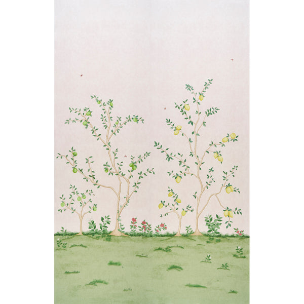 Citrus Blossom 2 Panel Set Blush — Schumacher