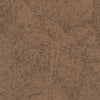 Grande Canyon Trail  Wallpaper (5021-58) | Koroseal Type 2 Vinyl | Koroseal