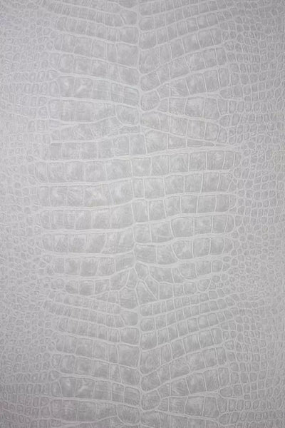 Crocodilo Crocodile  Wallpaper | Osborne & Little Europe
