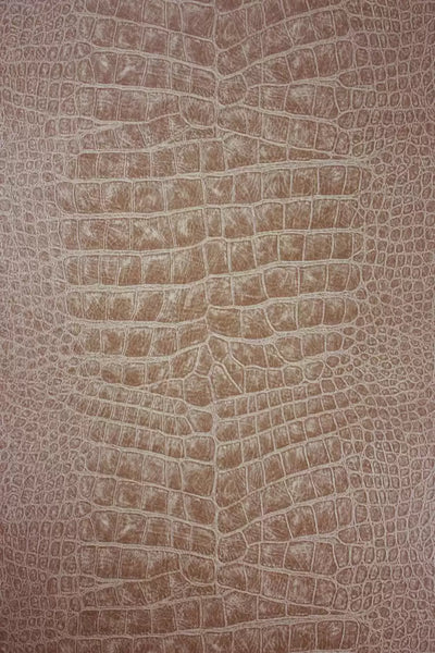 Crocodilo Crocodile  Wallpaper | Osborne & Little Europe