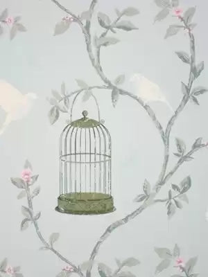 Birdcage Walk 03  Wallpaper | Nina Campbell Europe