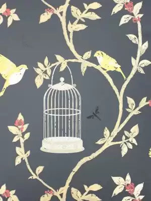 Birdcage Walk 05  Wallpaper | Nina Campbell Europe