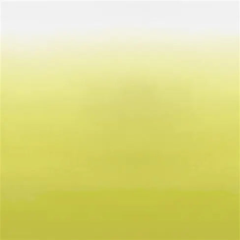 Saraille Ombre Panel (3m) 03 Acacia Yellow | Designers Guild Europe
