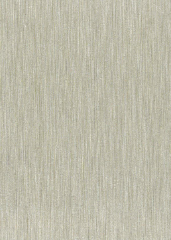 Rockport Neck-Putty Wallcovering | Phillipe Romano