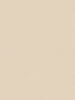 Styleguide Nature 2027 Beige Wallcovering | AS Creation