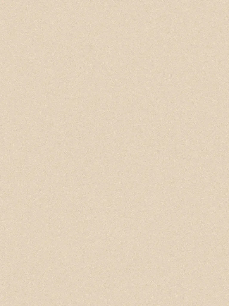 Styleguide Nature 2027 Beige Wallcovering | AS Creation