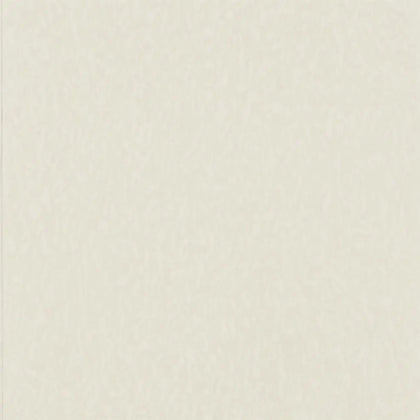 Torlonia Texture Chalk | Designers Guild Europe