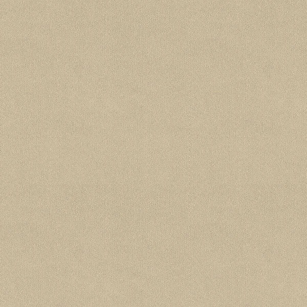 Chamois Fabric - Color 102 | Carnegie