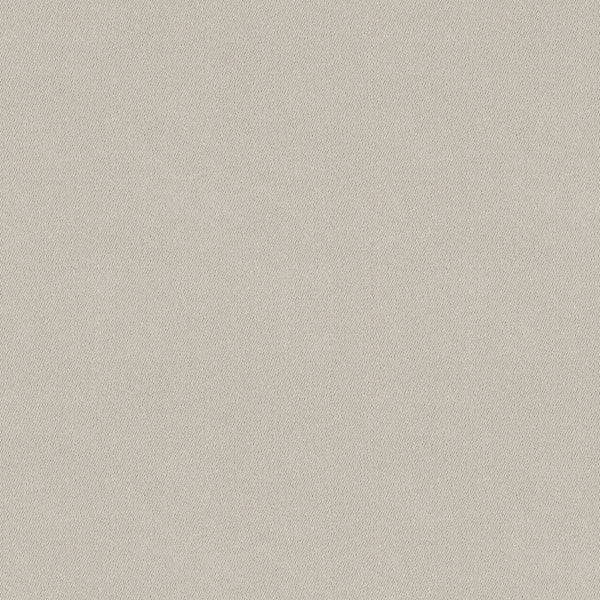 Chamois (Wide Width) Fabric - Color 2103 | Carnegie