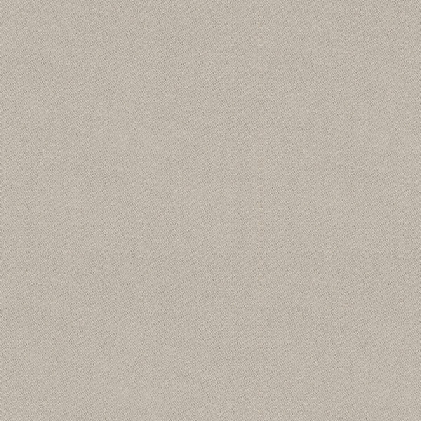 Chamois Fabric - Color 103 | Carnegie