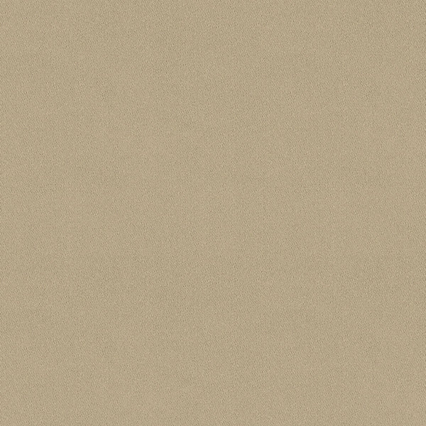 Chamois (Wide Width) Fabric - Color 2201 | Carnegie