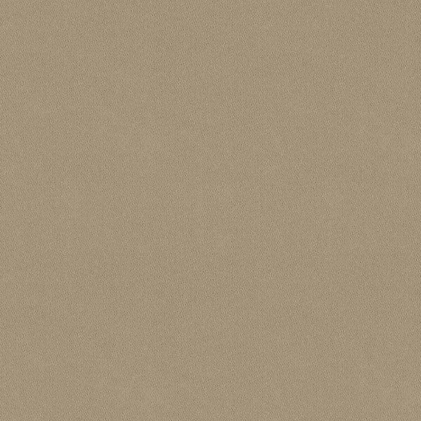 Chamois Fabric - Color 202 | Carnegie