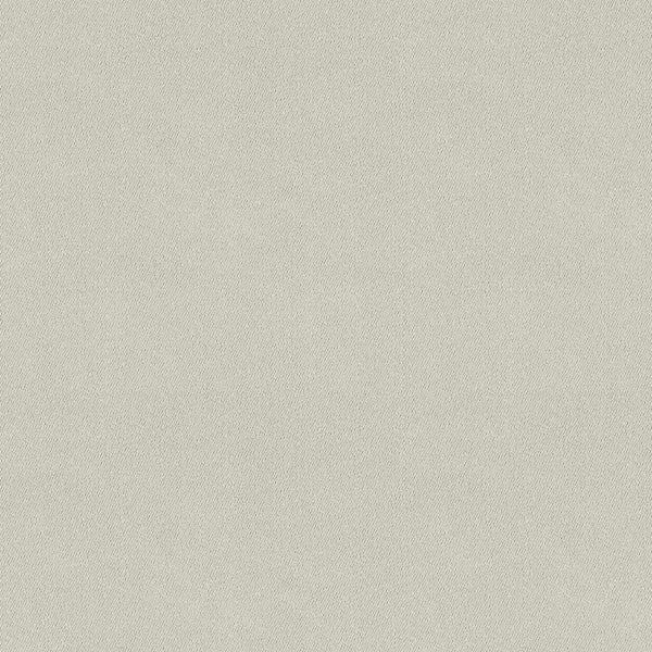 Chamois (Wide Width) Fabric - Color 2207 | Carnegie