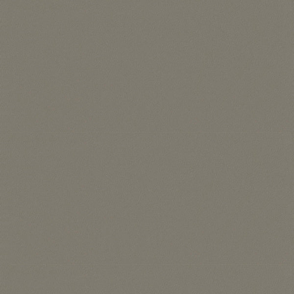 Chamois (Wide Width) Fabric - Color 2301 | Carnegie