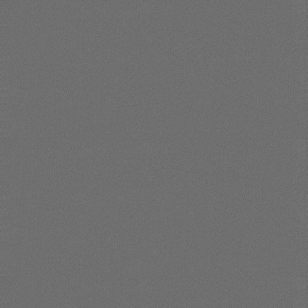 Chamois Fabric - Color 305 | Carnegie