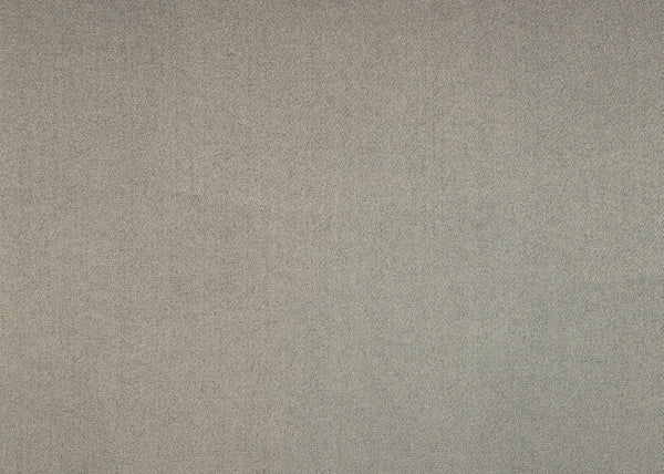Chamois Fabric - Color 203 | Carnegie