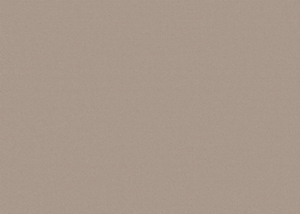 Chamois Fabric - Color 401 | Carnegie