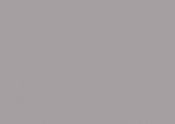 Chamois Fabric - Color 404 | Carnegie