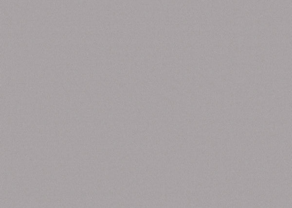 Chamois (Wide Width) Fabric - Color 2404 | Carnegie