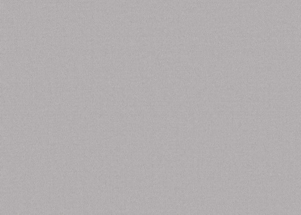 Chamois (Wide Width) Fabric - Color 2405 | Carnegie
