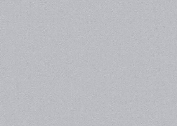 Chamois (Wide Width) Fabric - Color 2406 | Carnegie