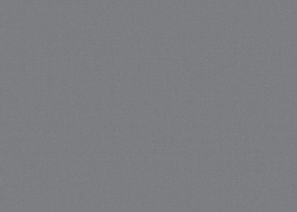 Chamois Fabric - Color 407 | Carnegie