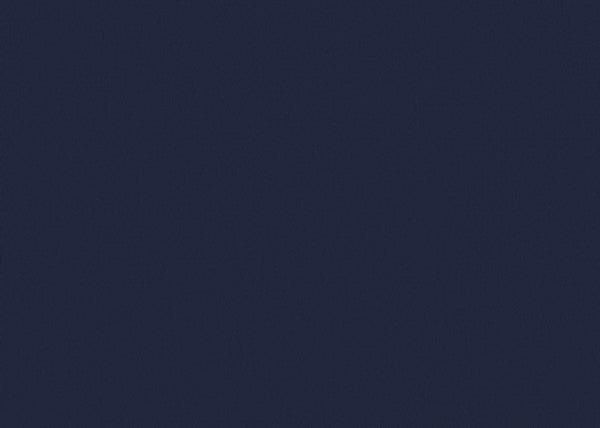 Chamois Fabric - Color 408 | Carnegie