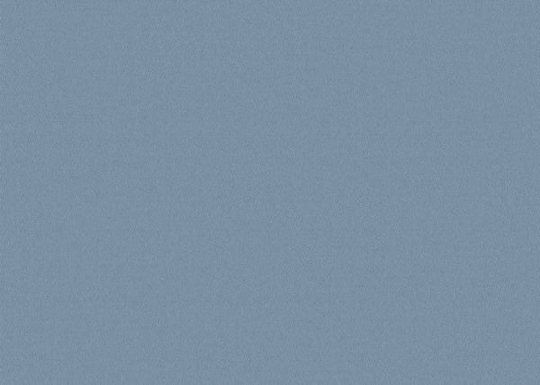 Chamois Fabric - Color 409 | Carnegie