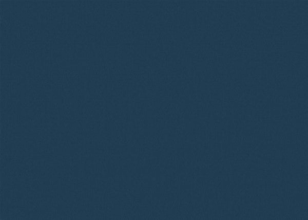 Chamois Fabric - Color 412 | Carnegie