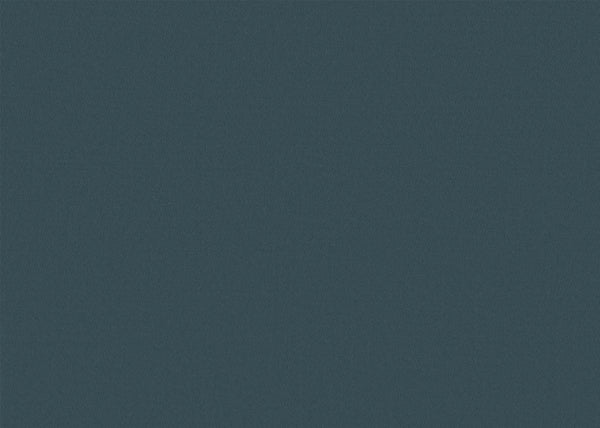 Chamois Fabric - Color 413 | Carnegie