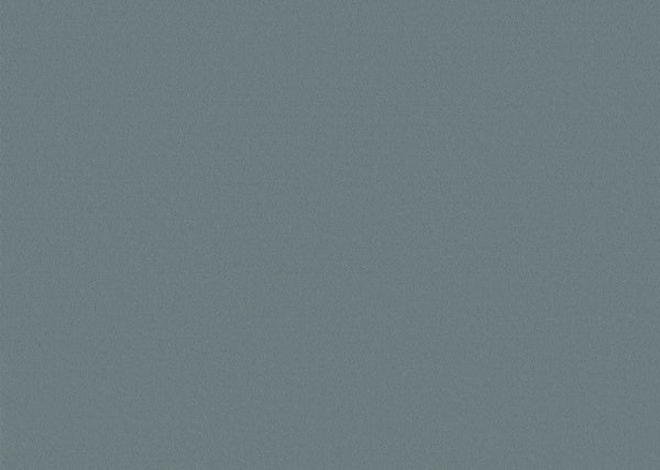 Chamois Fabric - Color 414 | Carnegie