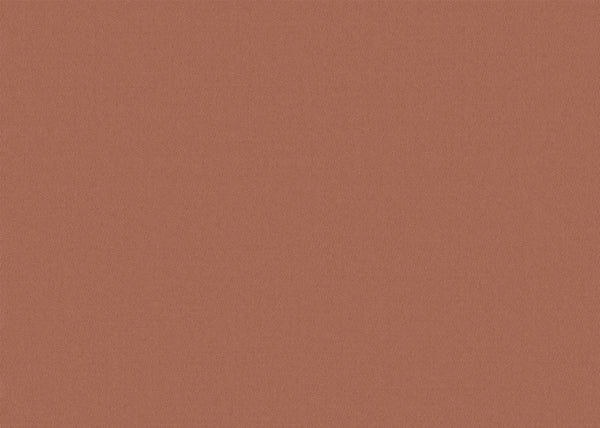 Chamois Fabric - Color 421 | Carnegie