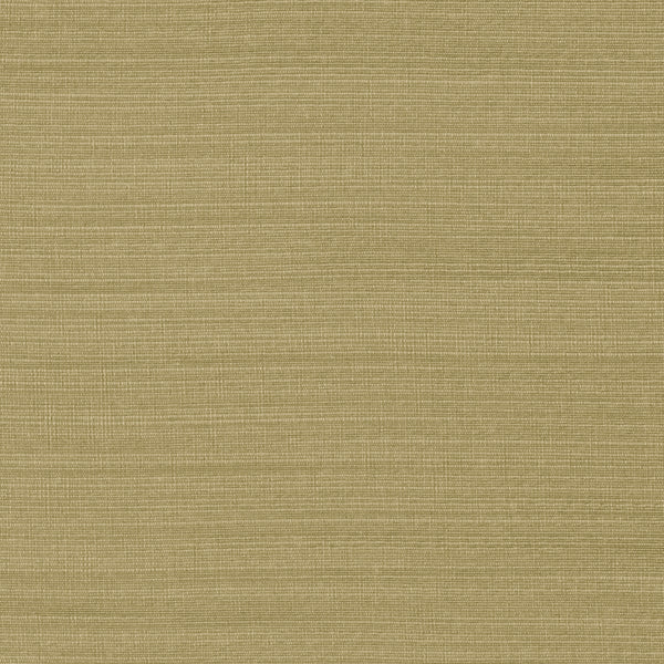 Ponte Wallcovering - Color 116 | Carnegie