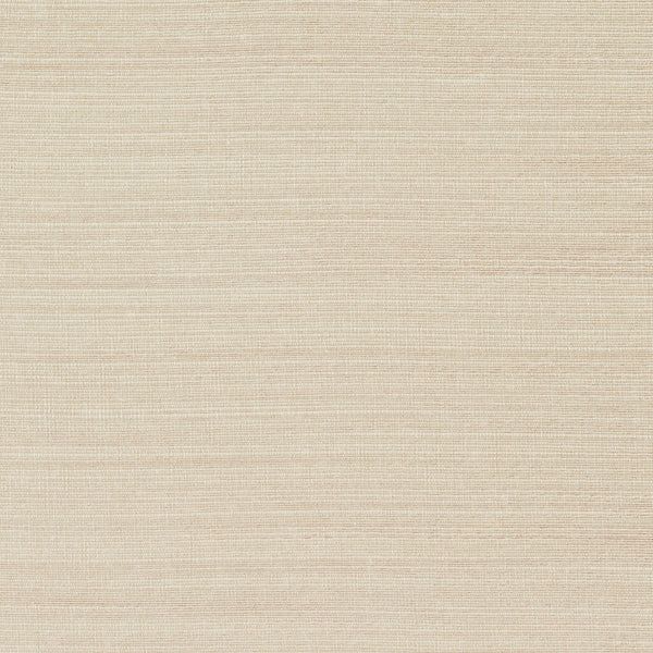 Ponte Wallcovering - Color 177 | Carnegie