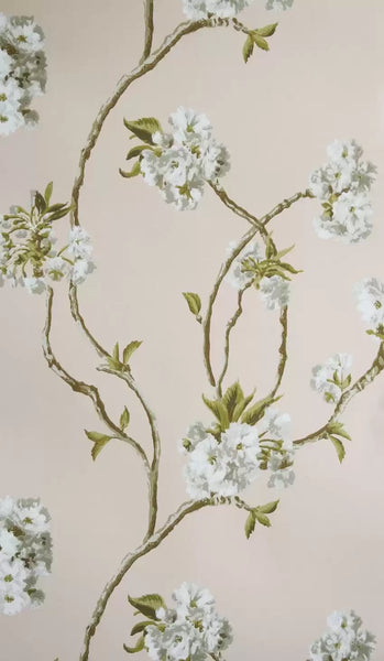 Orchard Blossom 04  Wallpaper | Nina Campbell Europe