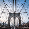 Ap Digital 2 Gray Wallcovering | AS Creation