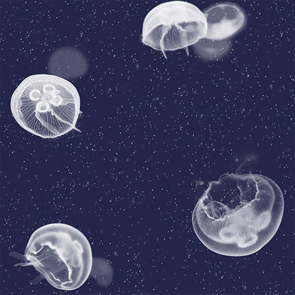 Jellyfish Blue, Roll Vinyl Wallcoverings | Newwall