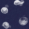 Jellyfish Blue, Roll Vinyl