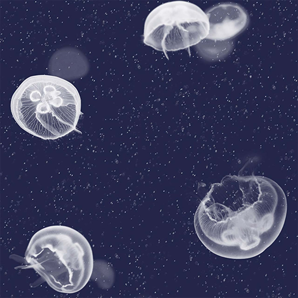 Jellyfish Blue, Roll Vinyl