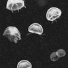 Jellyfish Black, Roll Vinyl