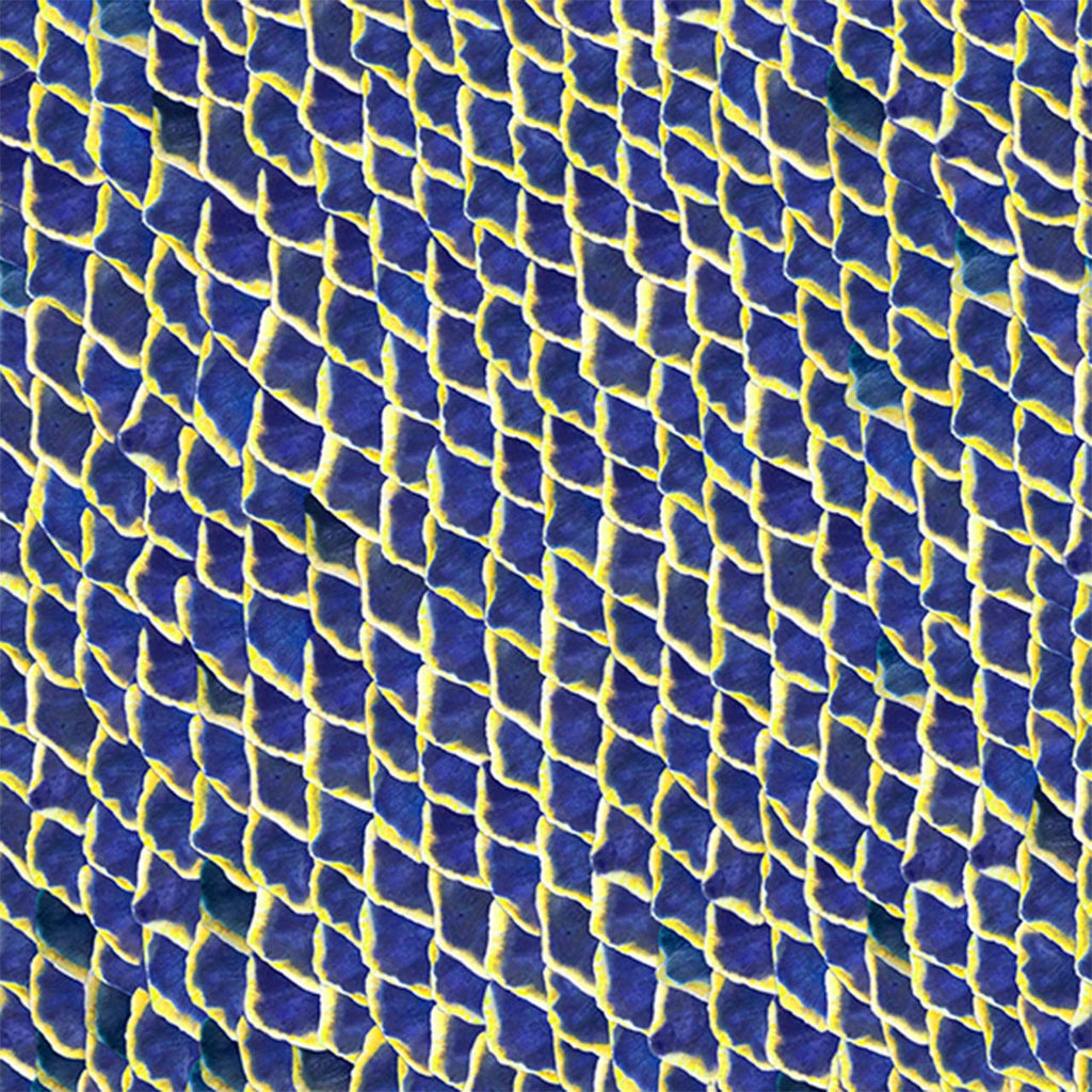 Fish Skin Blue, Roll Vinyl