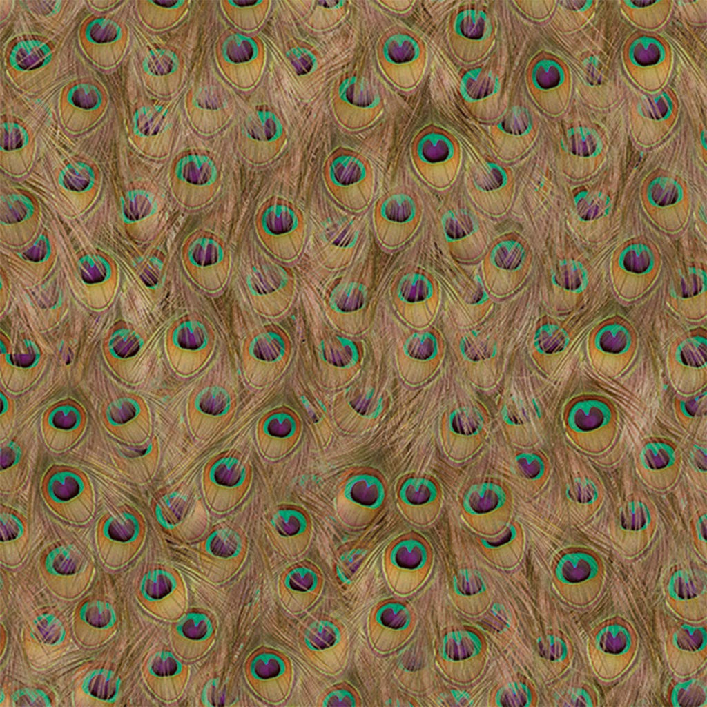Peafowl Warm, Roll Vinyl