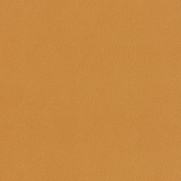 Carnegie Siltech Grain - Color 18