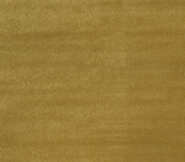Nina Campbell Fabric - Goldenrod Wallcovering | Nina Campbell