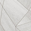 Daniel Hechter 7 Gray Wallcovering | AS Creation