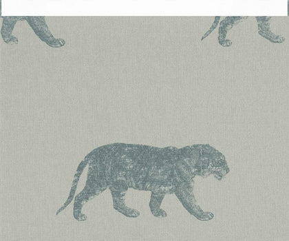Cheetahs | Coordone Europe