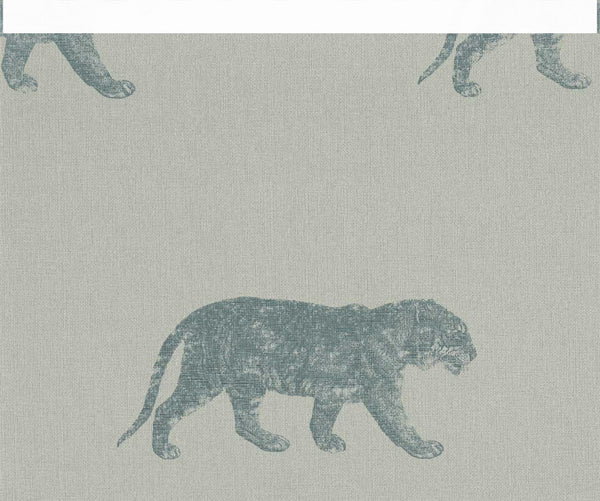 Cheetahs | Coordone Europe