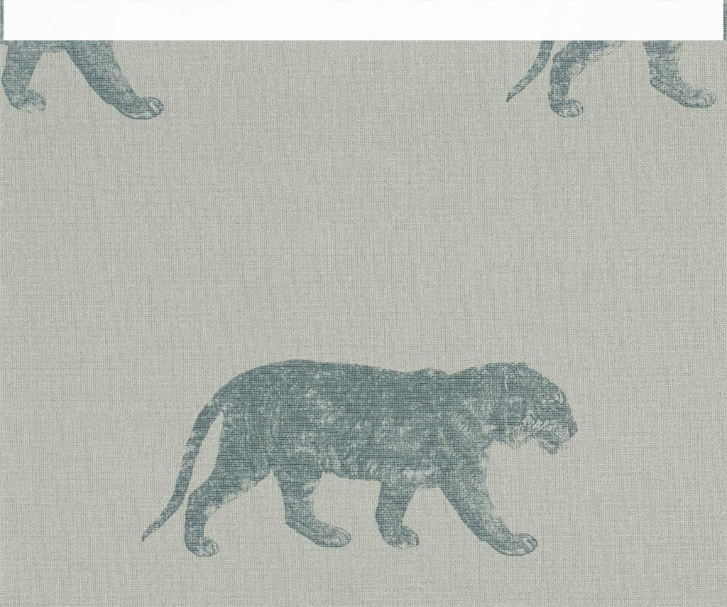 Cheetahs