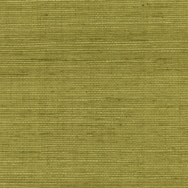 Nantucket Grasscloth Olive Wallcovering | Phillipe Romano